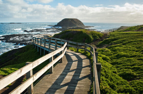 DU LỊCH PHILLIP ISLAND, MELBOURNE